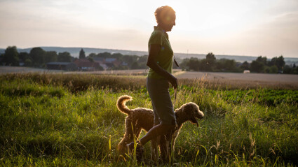 Older adults who own dogs walk more than those who don't own dogs, and that they're moving at a good clip, a study finds.