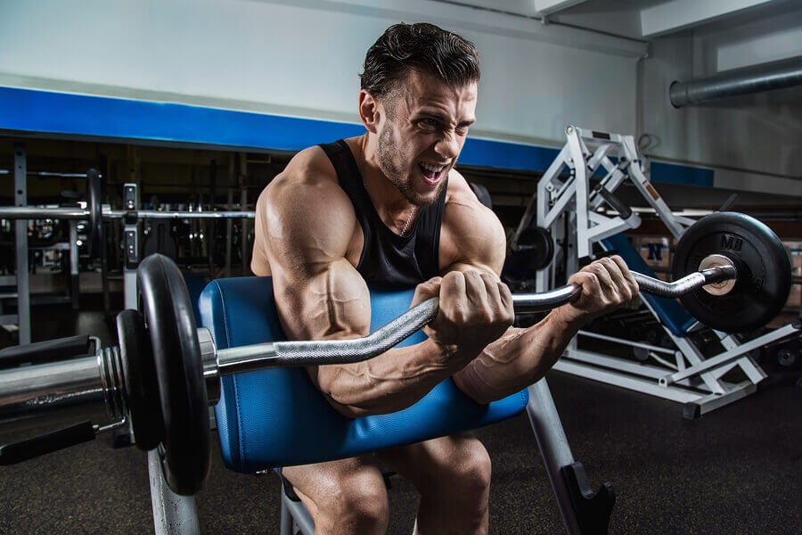 How to Build Bigger Bicep Muscles - David Dummett Fitness LLC