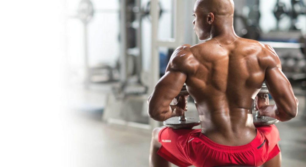 NEV2162-1024x683-edt